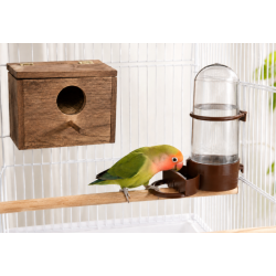 Comedero/Bebedero para Pájaros de Plástico con Percha