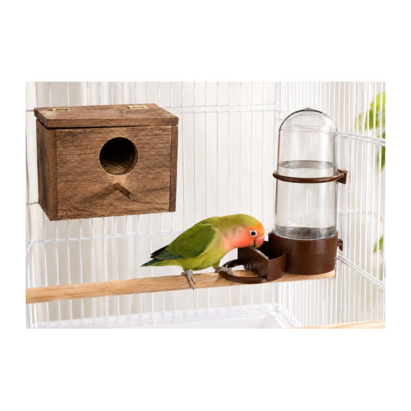 Comedero/Bebedero para Pájaros de Plástico con Percha