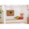 Comedero/Bebedero para Pájaros de Plástico con Percha