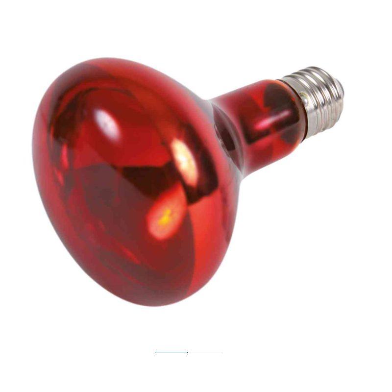 Lámpara Infrarroja Calefactora 150W para Reptiles
