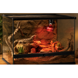 Lámpara Infrarroja Calefactora 150W para Reptiles