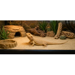 Arena para Terrarios Desérticos 5 kg | Sustrato para Reptiles