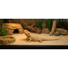 Arena para Terrarios Desérticos 5 kg | Sustrato para Reptiles