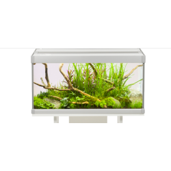 Acuario FAMILY 80 Litros