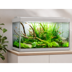 Acuario FAMILY 80 Litros