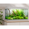 Acuario FAMILY 80 Litros
