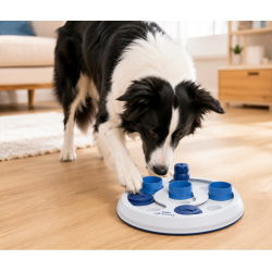 Juego Interactivo para Perros Flip & Fun