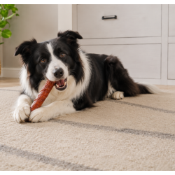 Rollitos Masticables de Pato para Perros