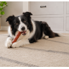 Rollitos Masticables de Pato para Perros