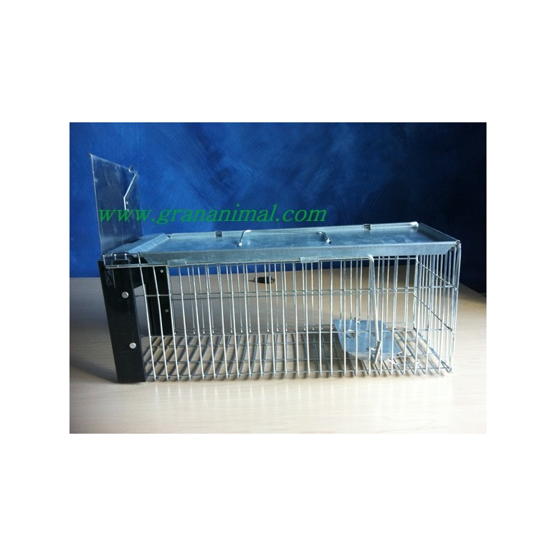 Jaula trampa para ratas y otros roedores