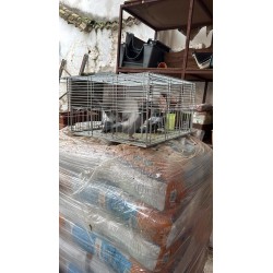 Jaula trampa para palomas multicaptura