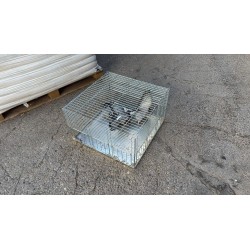 Jaula trampa para palomas multicaptura