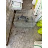 Jaula trampa para palomas multicaptura
