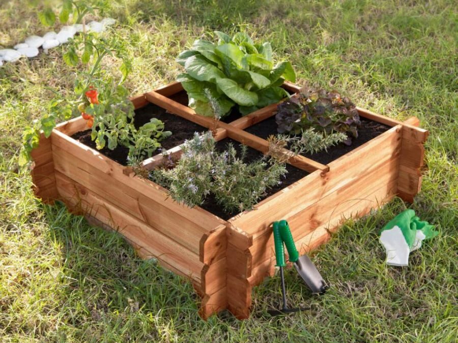 Cultivando Sostenibilidad: El ABC del Material para tu Huerto Urbano